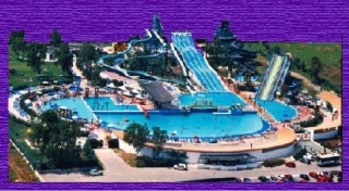  general view of the park 